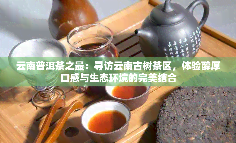 云南普洱茶之最：寻访云南古树茶区，体验醇厚口感与生态环境的完美结合