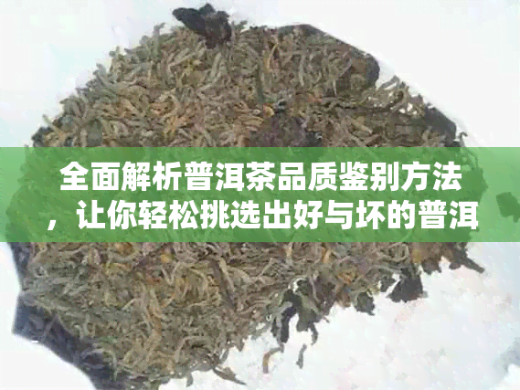 全面解析普洱茶品质鉴别方法，让你轻松挑选出好与坏的普洱茶