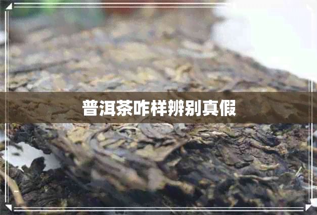 普洱茶咋样辨别真假