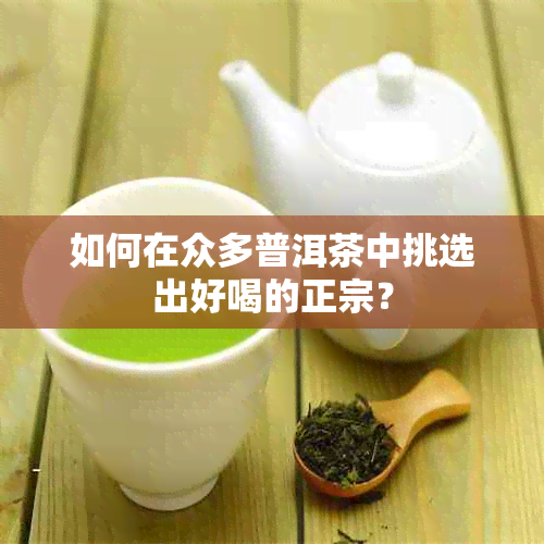 如何在众多普洱茶中挑选出好喝的正宗？