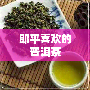 郎平喜欢的普洱茶