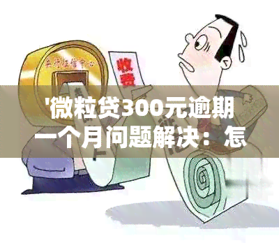 '微粒贷300元逾期一个月问题解决：怎么办？'