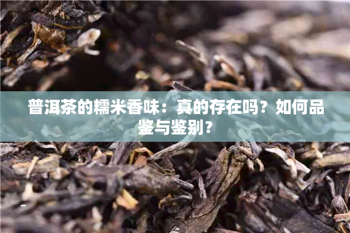 普洱茶的糯米香味：真的存在吗？如何品鉴与鉴别？