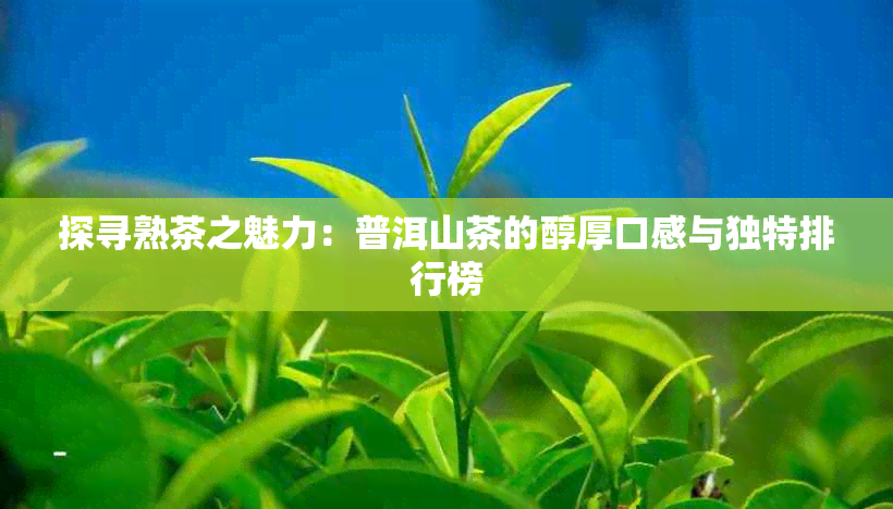 探寻熟茶之魅力：普洱山茶的醇厚口感与独特排行榜