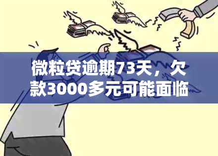 微粒贷逾期73天，欠款3000多元可能面临的法律问题与解决方案