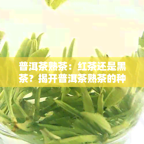 普洱茶熟茶：红茶还是黑茶？揭开普洱茶熟茶的种类之谜