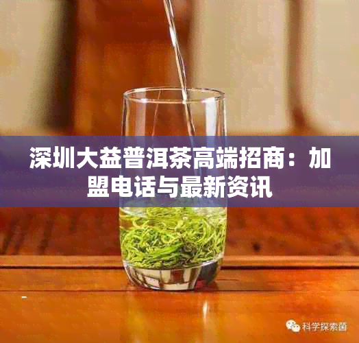 深圳大益普洱茶高端招商：加盟电话与最新资讯