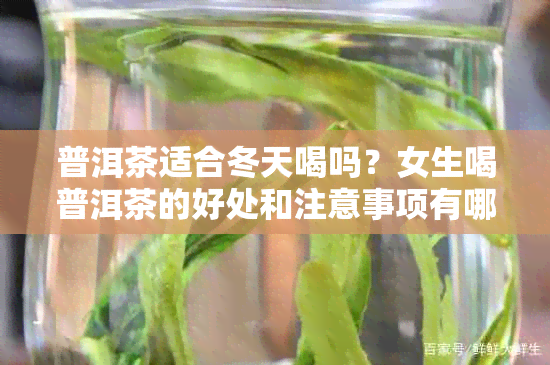 普洱茶适合冬天喝吗？女生喝普洱茶的好处和注意事项有哪些？