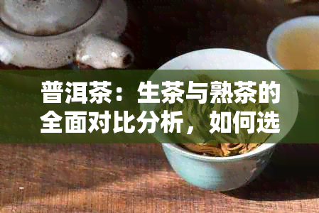 普洱茶：生茶与熟茶的全面对比分析，如何选择适合您的茶叶？