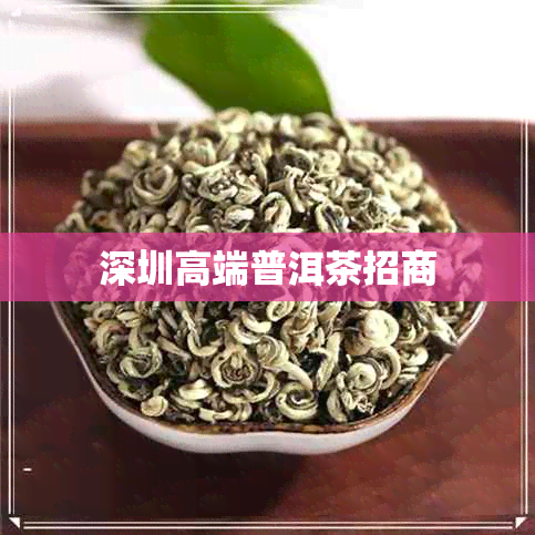 深圳高端普洱茶招商