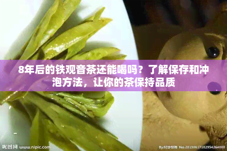 8年后的铁观音茶还能喝吗？了解保存和冲泡方法，让你的茶保持品质