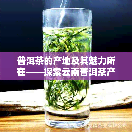 普洱茶的产地及其魅力所在——探索云南普洱茶产区的故事