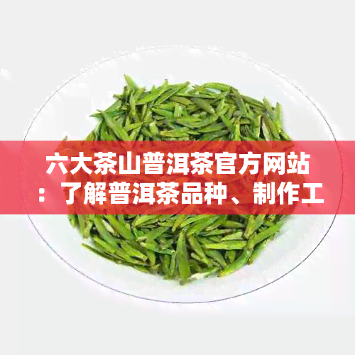 六大茶山普洱茶官方网站：了解普洱茶品种、制作工艺与品鉴技巧的全方位指南