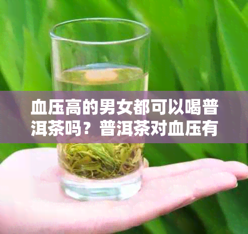 血压高的男女都可以喝普洱茶吗？普洱茶对血压有什么影响？