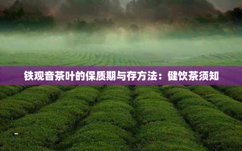 铁观音茶叶的保质期与存方法：健饮茶须知