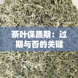 茶叶保质期：过期与否的关键解读