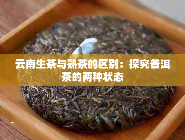 云南生茶与熟茶的区别：探究普洱茶的两种状态