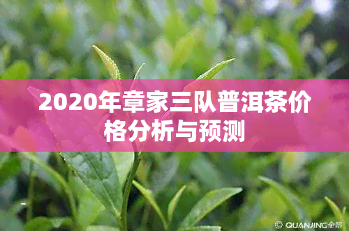 2020年章家三队普洱茶价格分析与预测