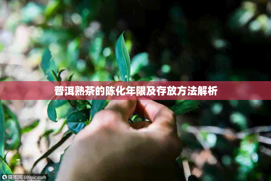 普洱熟茶的陈化年限及存放方法解析