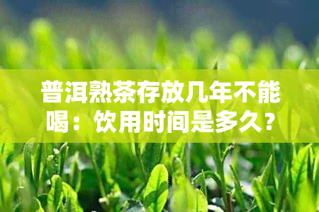 普洱熟茶存放几年不能喝：饮用时间是多久？