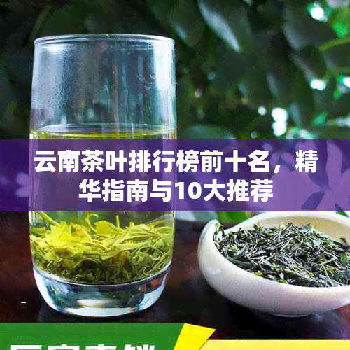 云南茶叶排行榜前十名，精华指南与10大推荐