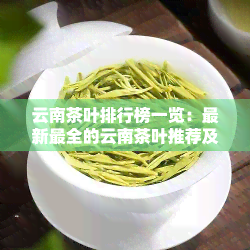 云南茶叶排行榜一览：最新最全的云南茶叶推荐及选购指南