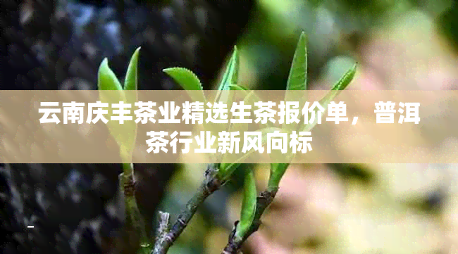 云南庆丰茶业精选生茶报价单，普洱茶行业新风向标