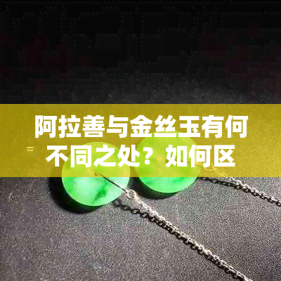 阿拉善与金丝玉有何不同之处？如何区分两者？