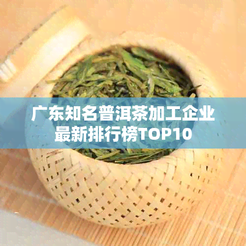 广东知名普洱茶加工企业最新排行榜TOP10