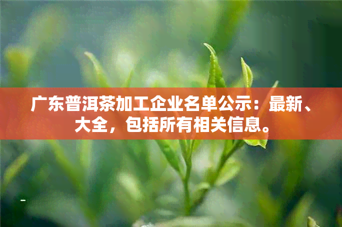 广东普洱茶加工企业名单公示：最新、大全，包括所有相关信息。