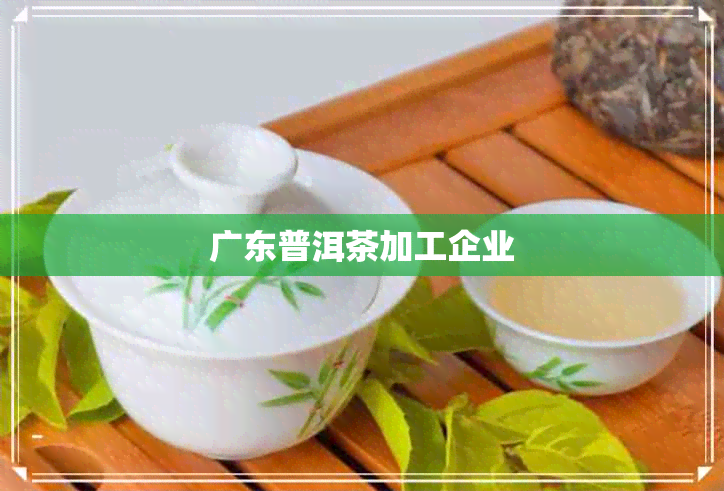 广东普洱茶加工企业