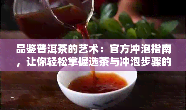 品鉴普洱茶的艺术：官方冲泡指南，让你轻松掌握选茶与冲泡步骤的详解