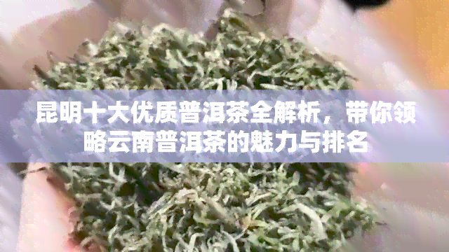 昆明十大优质普洱茶全解析，带你领略云南普洱茶的魅力与排名