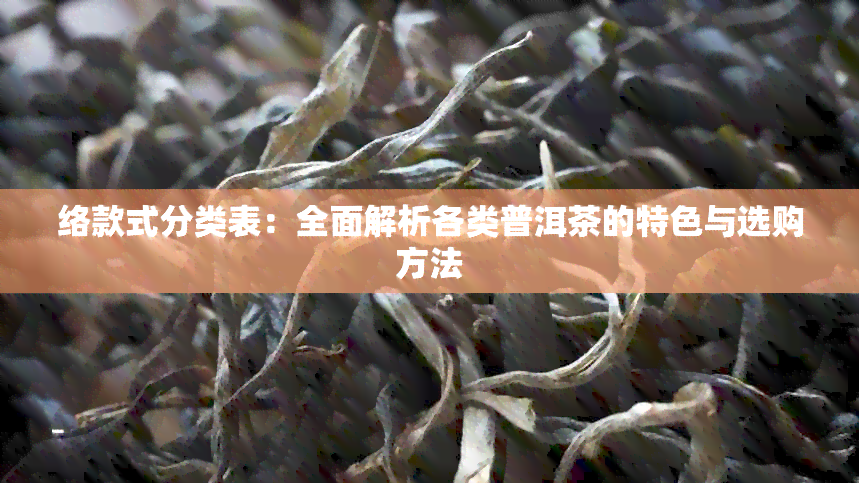 络款式分类表：全面解析各类普洱茶的特色与选购方法