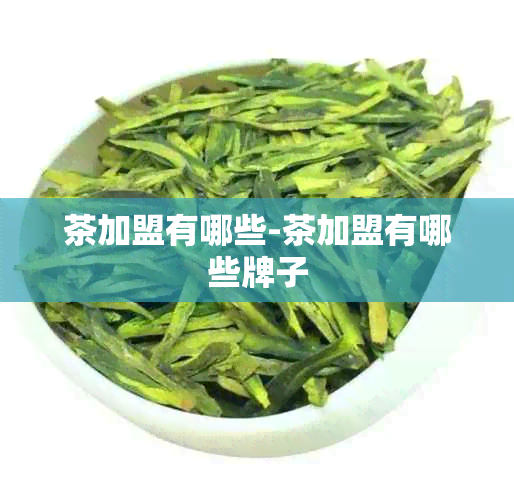 茶加盟有哪些-茶加盟有哪些牌子