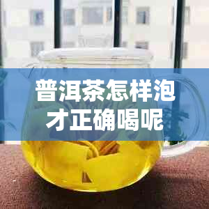 普洱茶怎样泡才正确喝呢？