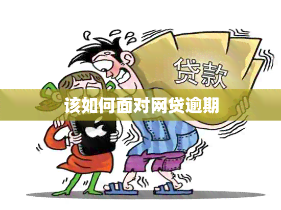 该如何面对网贷逾期