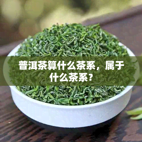 普洱茶算什么茶系，属于什么茶系？