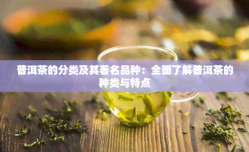 普洱茶的分类及其著名品种：全面了解普洱茶的种类与特点