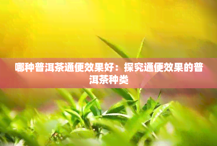 哪种普洱茶通便效果好：探究通便效果的普洱茶种类