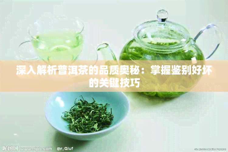 深入解析普洱茶的品质奥秘：掌握鉴别好坏的关键技巧