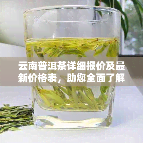 云南普洱茶详细报价及最新价格表，助您全面了解市场动态与选购指南