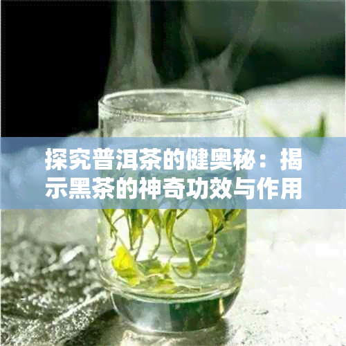 探究普洱茶的健奥秘：揭示黑茶的神奇功效与作用