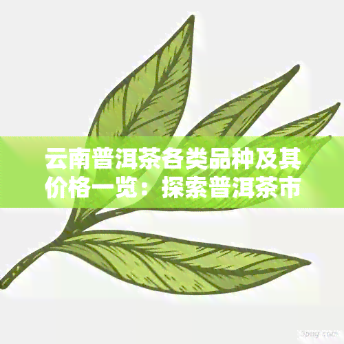 云南普洱茶各类品种及其价格一览：探索普洱茶市场的选择