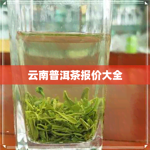 云南普洱茶报价大全