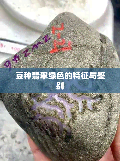 豆种翡翠绿色的特征与鉴别