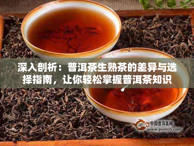 深入剖析：普洱茶生熟茶的差异与选择指南，让你轻松掌握普洱茶知识