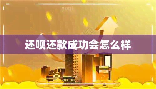 还呗还款成功会怎么样