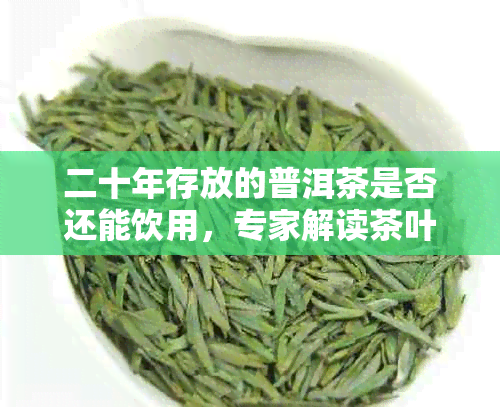 二十年存放的普洱茶是否还能饮用，专家解读茶叶保质期真相