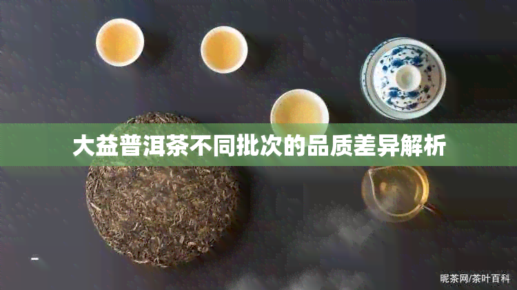 大益普洱茶不同批次的品质差异解析